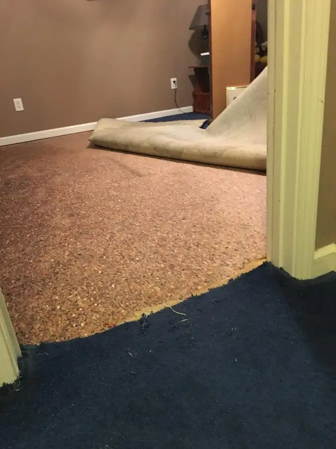Carpet pad removal revealing water damage during Water Mitigation Services in St. Paul Park