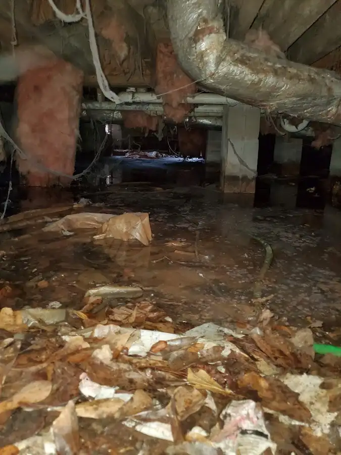 Crawl space flood assessment for Commercial Water Damage Restoration in St. Paul Park