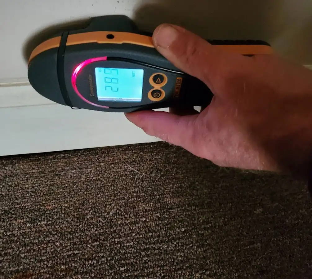 Moisture detection at baseboard during Sewage Cleanup & Sanitation in St. Paul Park